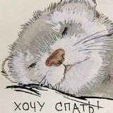 Алексей Сергеевич, 16.05.1984, Запорожье