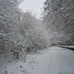 Шамхан Магамадов, 08.04.1985