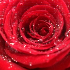 Наталья Данилейко-Ковалёва, 02.07, Москва