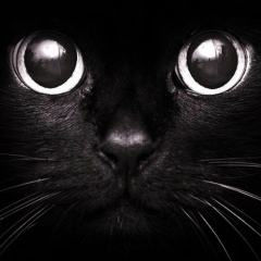 Наталья Шершнева, 06.10.1988, Москва