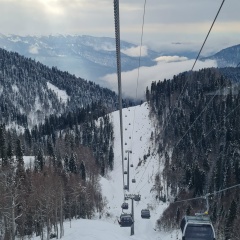 Алексей Коновалов