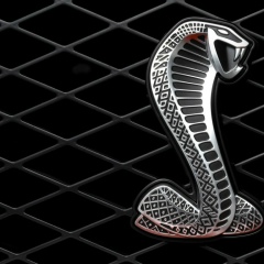 Алекс Михайлов, 20.09