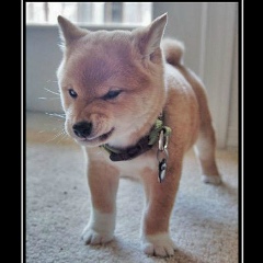 Марина , 20.03.1979, Санкт-Петербург