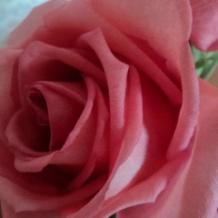 Жанар Рахимбаева, 28.06.1988, Астана