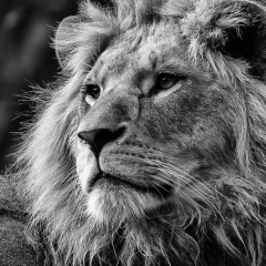 Айбек К, 24.05, Астана