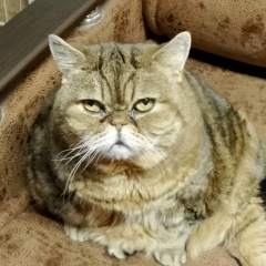 Татьяна Галкина, 04.09, Санкт-Петербург