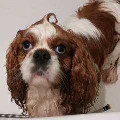 Сергей Бирюков, 03.02.1986, Москва