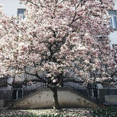 Аружан Оналова, 28.10, Алматы