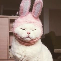 Елена Василишина, 11.05, Караганда