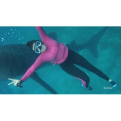 Елизавета Аникеева, 09.07.1988, Chicago