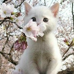 Светлана Хромова, 05.11, Барвиха (поселок)