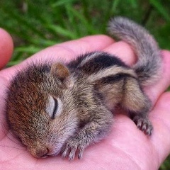 Евгений Розанов, 22.04, Санкт-Петербург