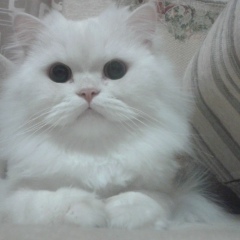 Полина Воронцова, 02.08.1989, Челябинск