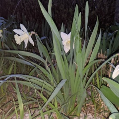 Марина Чемерис, 19.01.1985, Киев