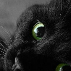 Марина Полищук, 06.01, Praha