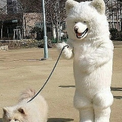 Дух Кастета, 28.10.1984, Львов