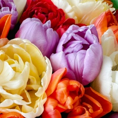 Ольга Синякова, 07.06, Нижневартовск