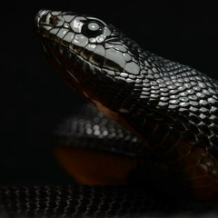 Анастасия Евграфова, 27.09.1985, Ижевск