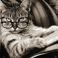 Алексей Тимофеев