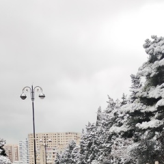 Анар Хейдаров, 04.08.1993, Баку