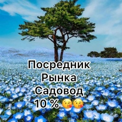 Мага Холдоров, 03.05, Москва