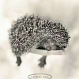 Ежж Ежище, 18.06.1984, Новокузнецк