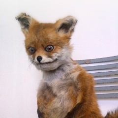 Серёга Прокопов, 31.03