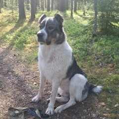 Кристиночка Ткаченочка, 28.02, Луга