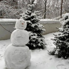 Акаши Сейджуро, Алматы