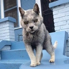 Дмитрий Мартынов, 24.10.1985, Санкт-Петербург