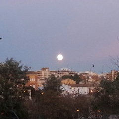 Lopez Luis, 02.03.1980, Valencia