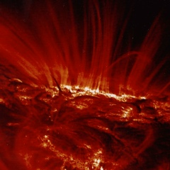 Александр Городничев, 12.08.1986, Москва