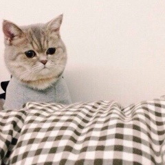 Yeldos Zairov, 06.07.1992, Черкесск