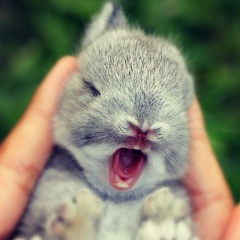 Екатерина Старавойтова, 06.02.2003, Кемерово