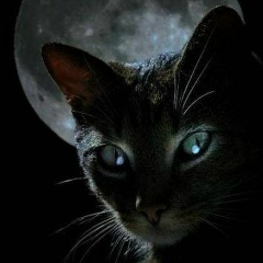 Татьяна Неронская, 13.01, Минск