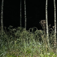 Ольга Скаткина, Москва