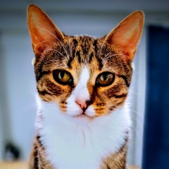 Дарья Анохина, 21.07, Липецк