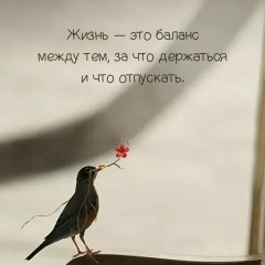 Динара Алисултанова, 29.06, Ухта