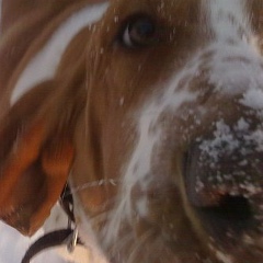 Анютка !!!, Уфа