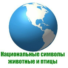 National Symbols, 01.01, Иркутск