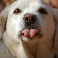 Леха Рюмин, 13.09.1982, Санкт-Петербург