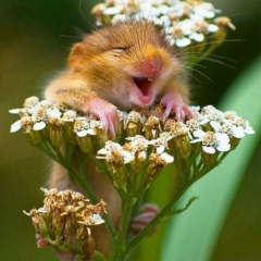 Лариса Сабитова, 03.11.1960, Агидель