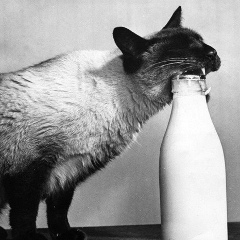 Андрей Иванов, 27.03.1986, Москва