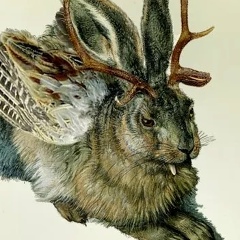 Елена Беркана, Москва