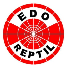 Edo Reptil, 14.03.1983, Surabaya