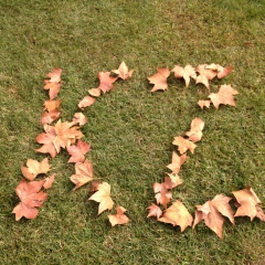 Rustem Kadirov, 06.04.1993, Алматы