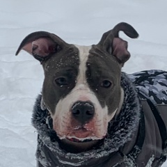 Андрей Заремба, Москва