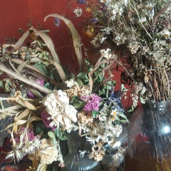 Марія Пастухова, 28.02.1983, Заславль