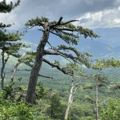 Игорь Иванов, 01.01.1984, Симферополь