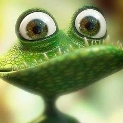 Жаб Великолепный, Санкт-Петербург